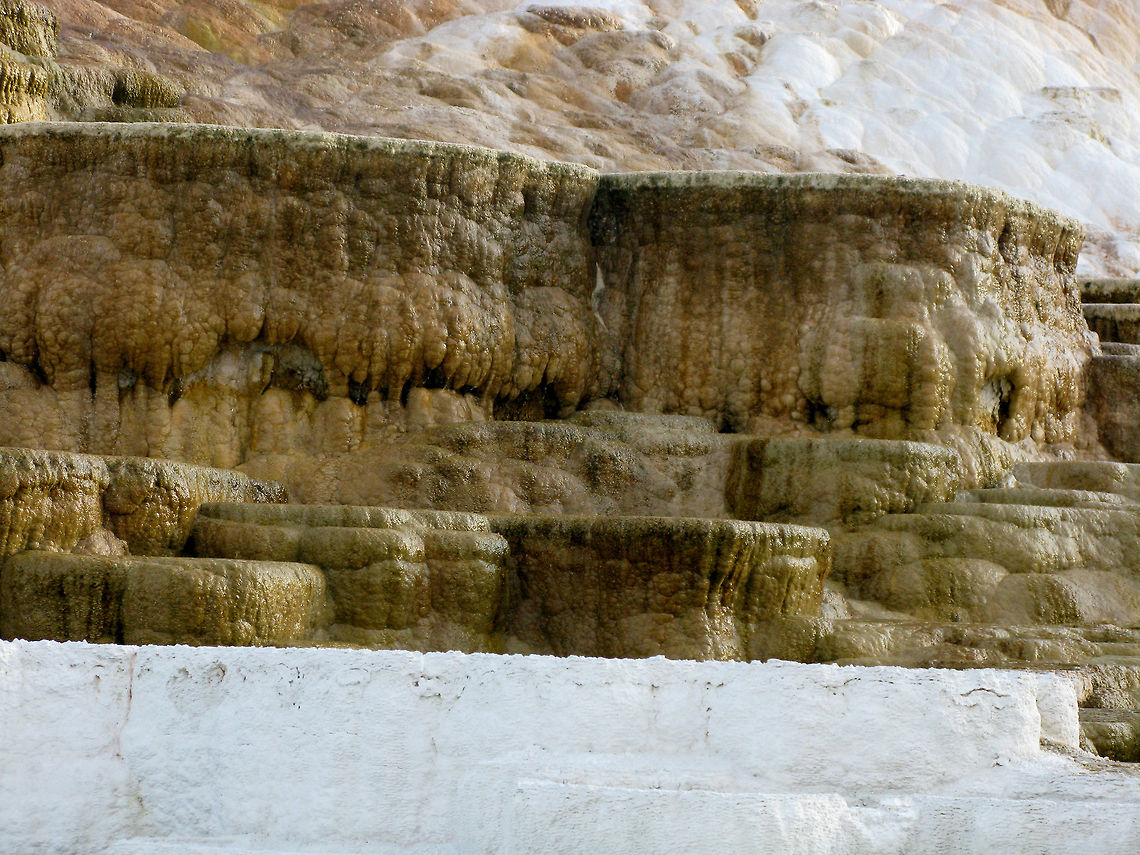 Canary Spring Closeup The Canary Spring terraces exposed. The orange color comes from cyanobacteria that live there. Landscapes,Wyoming,Yellowstone National Park