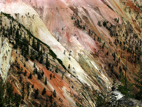 Grand Canyon of Yellowstone 4 Fantastic landscape view of the Grand Canyon of Yellowstone, the mountain ranges colored in red substance. Landscapes,Wyoming,Yellowstone National Park