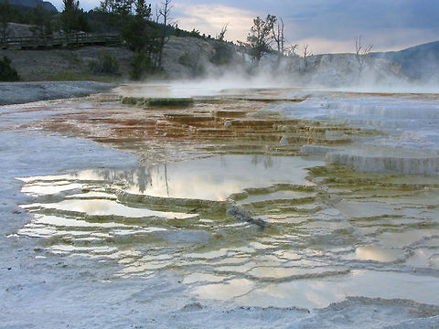 Mammoth Hot Springs A "lake" kind of view of the Mammoth Hot Springs. Landscapes,Wyoming,Yellowstone National Park