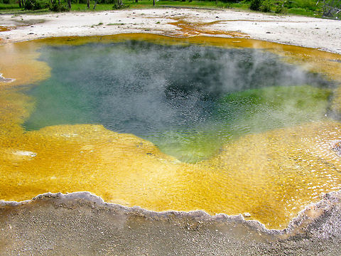 Yellowstone Morning Glory Pool 1 The famous Morning Glory Pool at Yellowstone, with its blue/yellow water. Landscapes,Wyoming,Yellowstone National Park