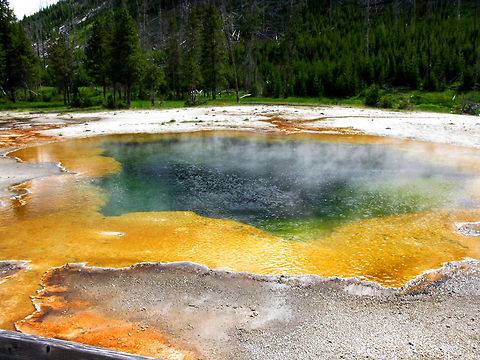 Yellowstone Morning Glory Pool 2 View of the Morning Glory Pool at Yellowstone. The water is coloured oddly due to the bacteria that inhabit it. Landscapes,Wyoming,Yellowstone National Park