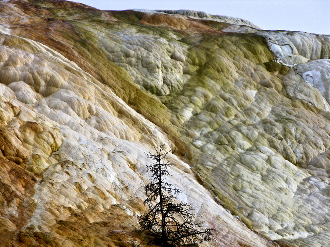 Yellowstone New Highland Spring Amazing rock formation in Yellowstone, where the rocks are shaped like clouds, showcasing bright orange and green colors. Landscapes,Wyoming,Yellowstone National Park
