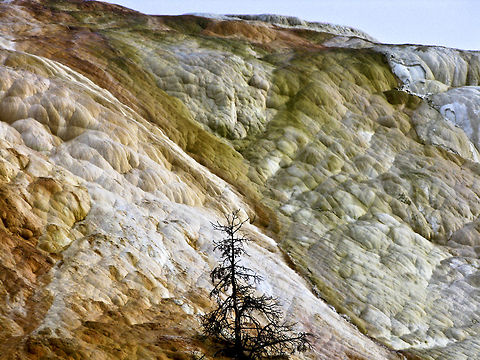 Yellowstone New Highland Spring Amazing rock formation in Yellowstone, where the rocks are shaped like clouds, showcasing bright orange and green colors. Landscapes,Wyoming,Yellowstone National Park