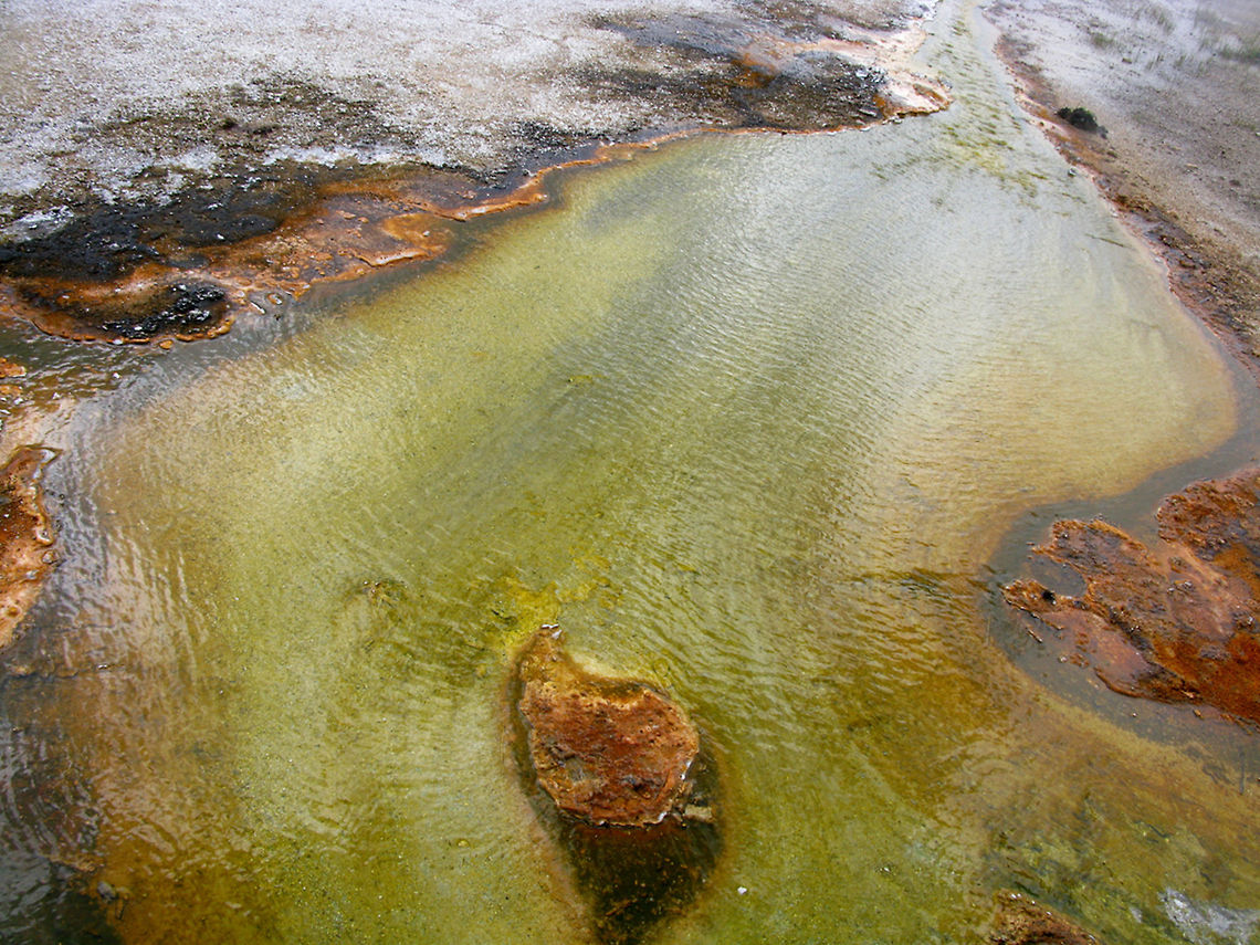 Yellowstone green runoff channel A flower of mysteriously green water in a runoff channel at Yellowstone. Landscapes,Wyoming,Yellowstone National Park