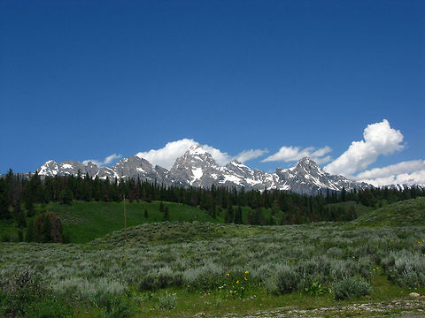 The Tetons landscape view Landscape view of the Tetons, covering a lush greenfield, trees, impressive mountain ranges and a clear blue sky. Grand Teton National Park,Landscapes,Wyoming