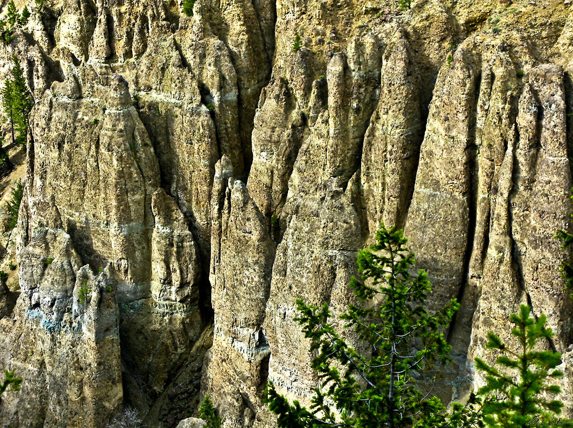 The Towers of Yellowstone Wide landscape view of an impressive rock formation at YellowStone, called the Towers of Yellowstone. Landscapes,Wyoming,Yellowstone National Park