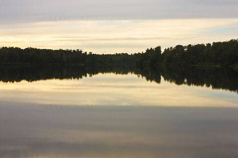 Peaceful Reflection in Ricketts Glen Lake in Ricketts Glen, PA Lake,Reflection