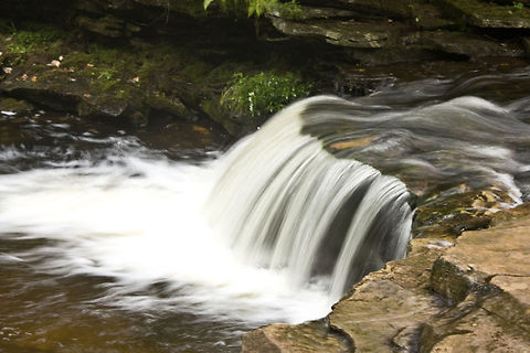 Ricketts Glen Falls 4 Sideview of a creek waterfall at Rickets Glen Falls. Stream,Waterfall
