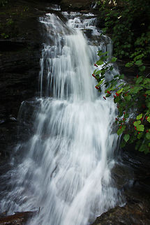 Ricketts Glen Falls 2 Portrait view of a long waterfall at Ricketts Glen Falls. Stream,Waterfall