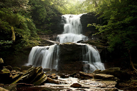 Ricketts Glen Falls 3 A frog view perspective on a small yet gorgeous waterfall at Rickets Glen Falls. Stream,Waterfall