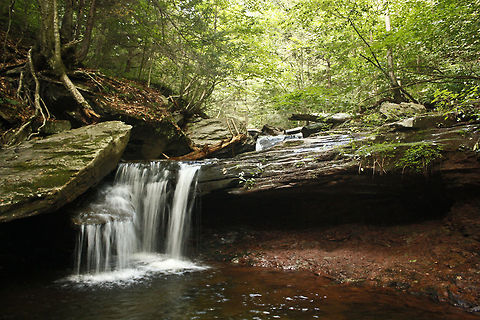 Ricketts Glen Falls 6 Beautiful landscape composition of a waterfall greek at Glen Falls. Stream,Waterfall