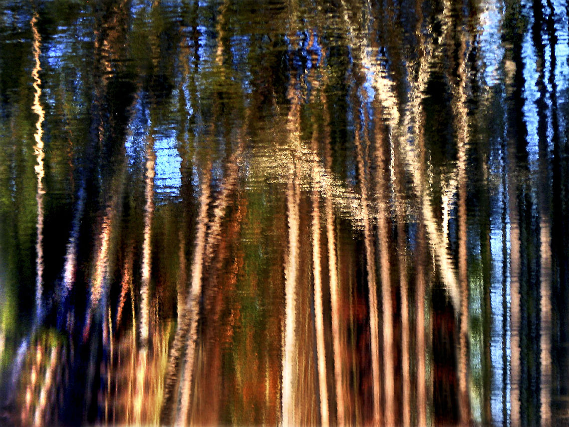 Simon Rock lake reflection Reflection in lake at Simon's Rock College. Great Barrington, MA Lake,Reflection