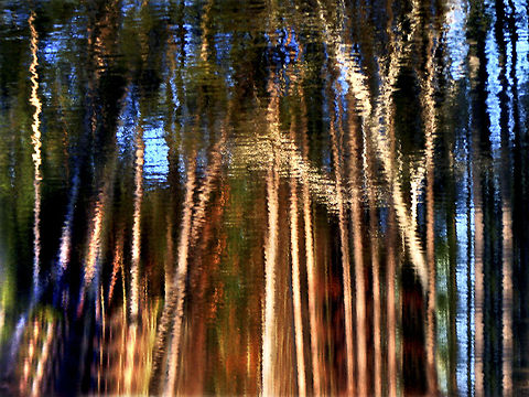 Simon Rock lake reflection Reflection in lake at Simon's Rock College. Great Barrington, MA Lake,Reflection