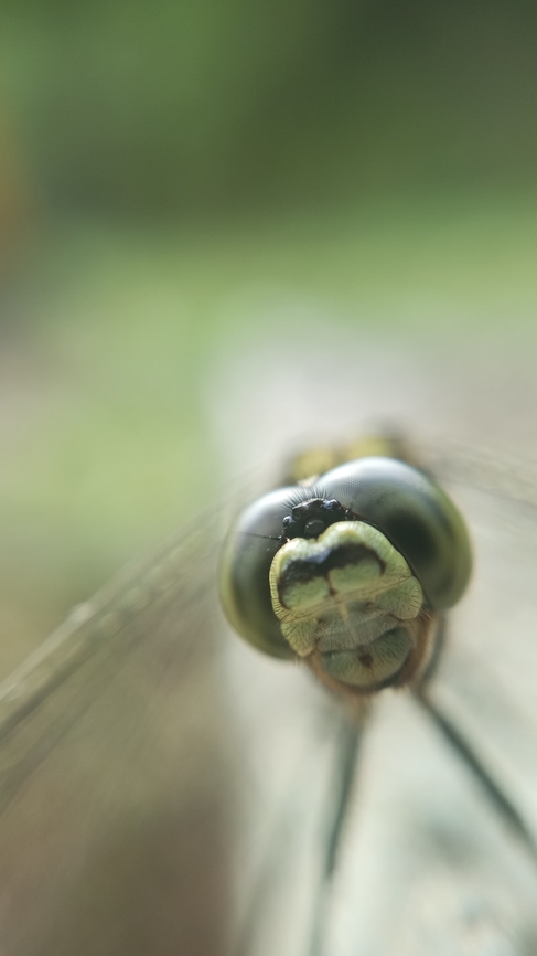 IMG_2023-09-10-08-53-42-794