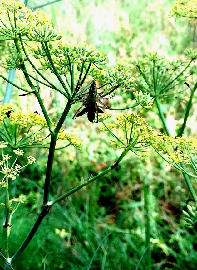 20230712_150623  Geotagged,India,Summer