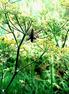 20230712_150623  Geotagged,India,Summer