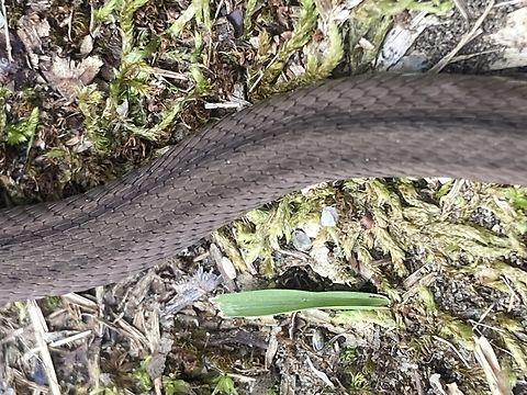 IMG_4884  Fall,Geotagged,United States