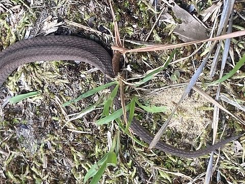 IMG_4885  Fall,Geotagged,United States