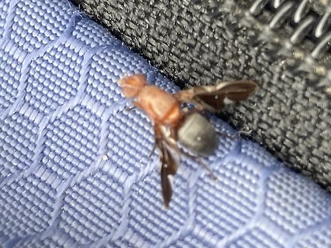 IMG_4845  Fall,Geotagged,United States