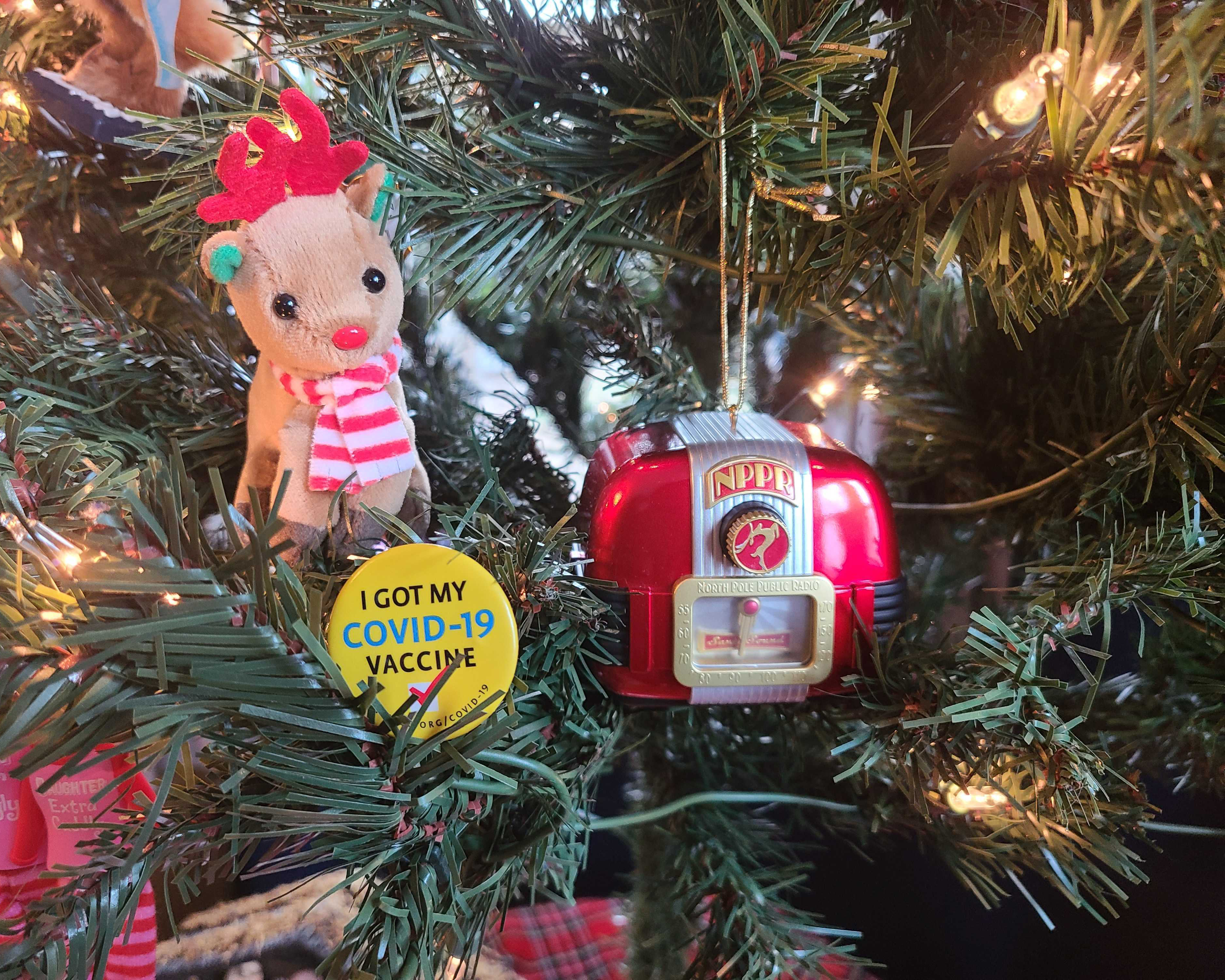 COVID-19 During the Holidays: 'Really, it's about taking care of each other'