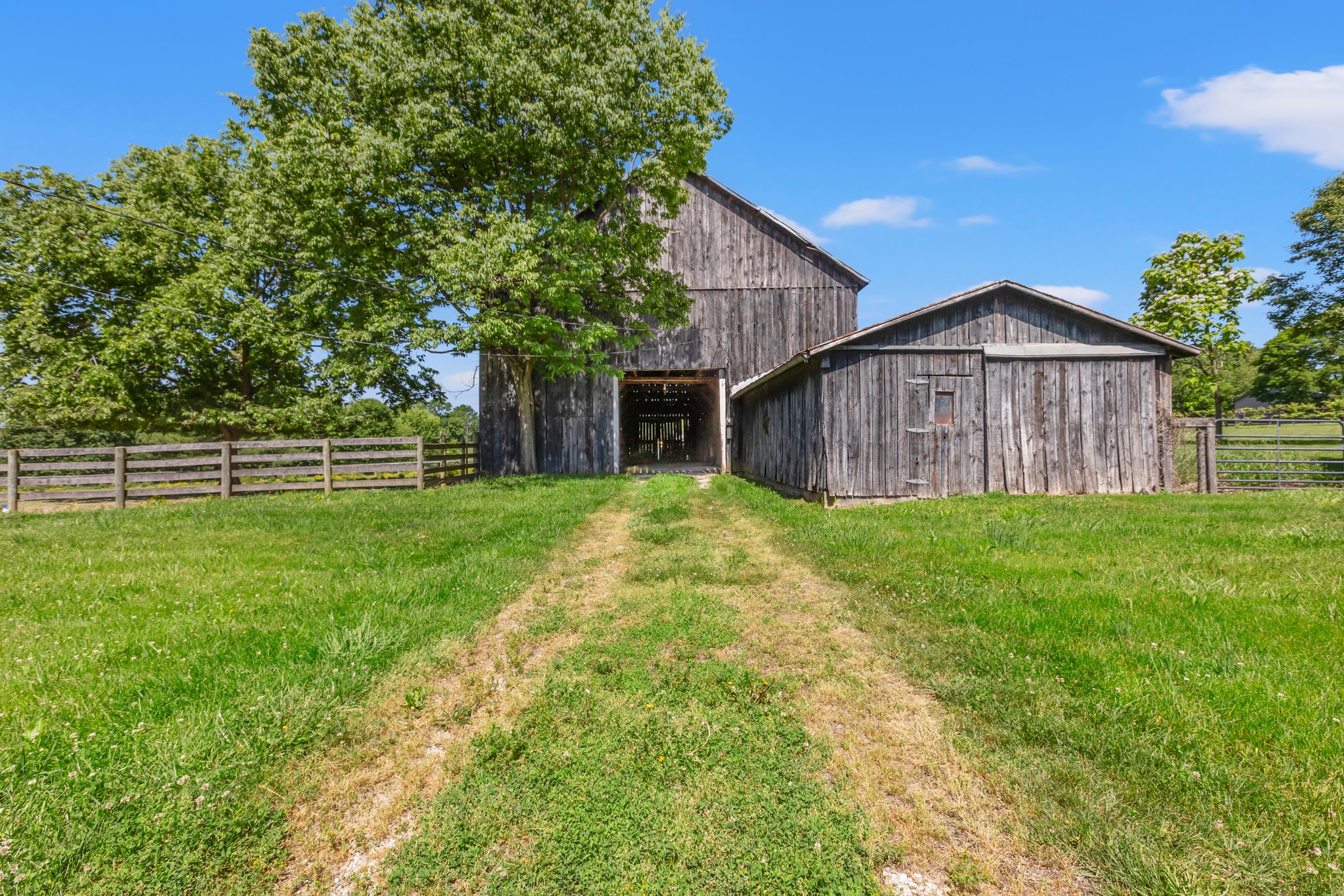 38-web-or-mls-IMG_6122