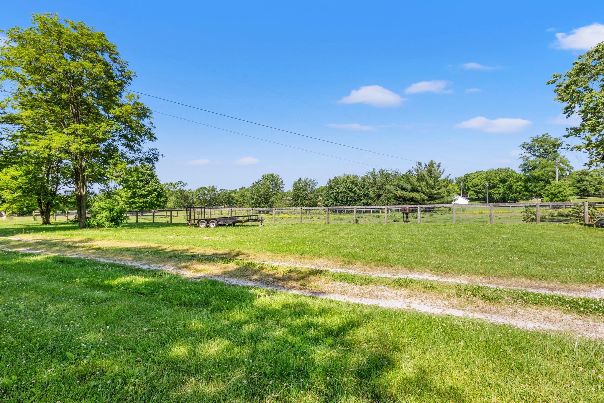 35-web-or-mls-IMG_6113