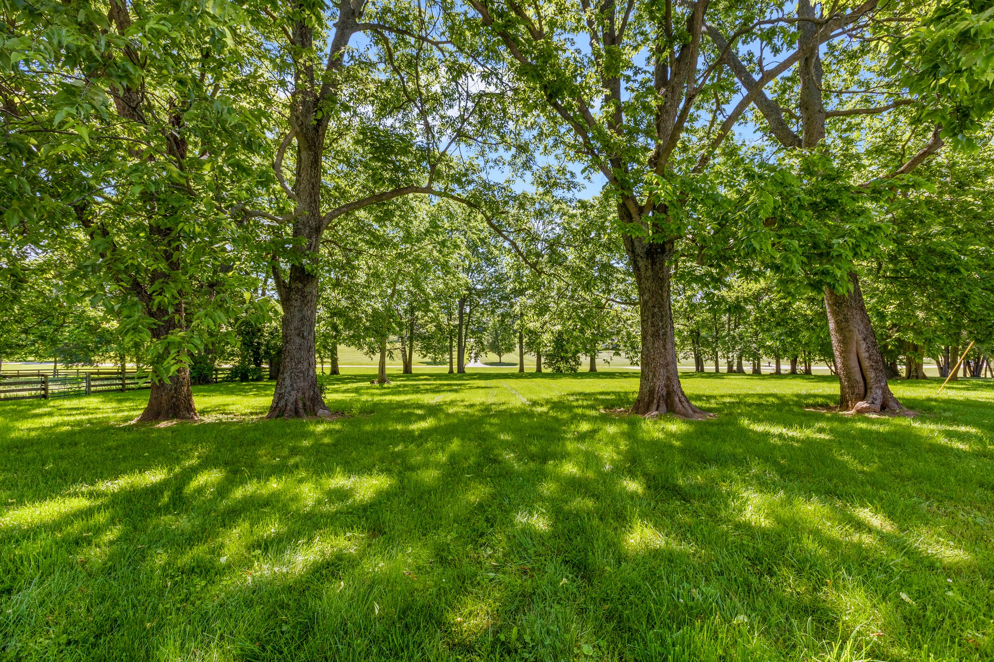 34-web-or-mls-IMG_6110