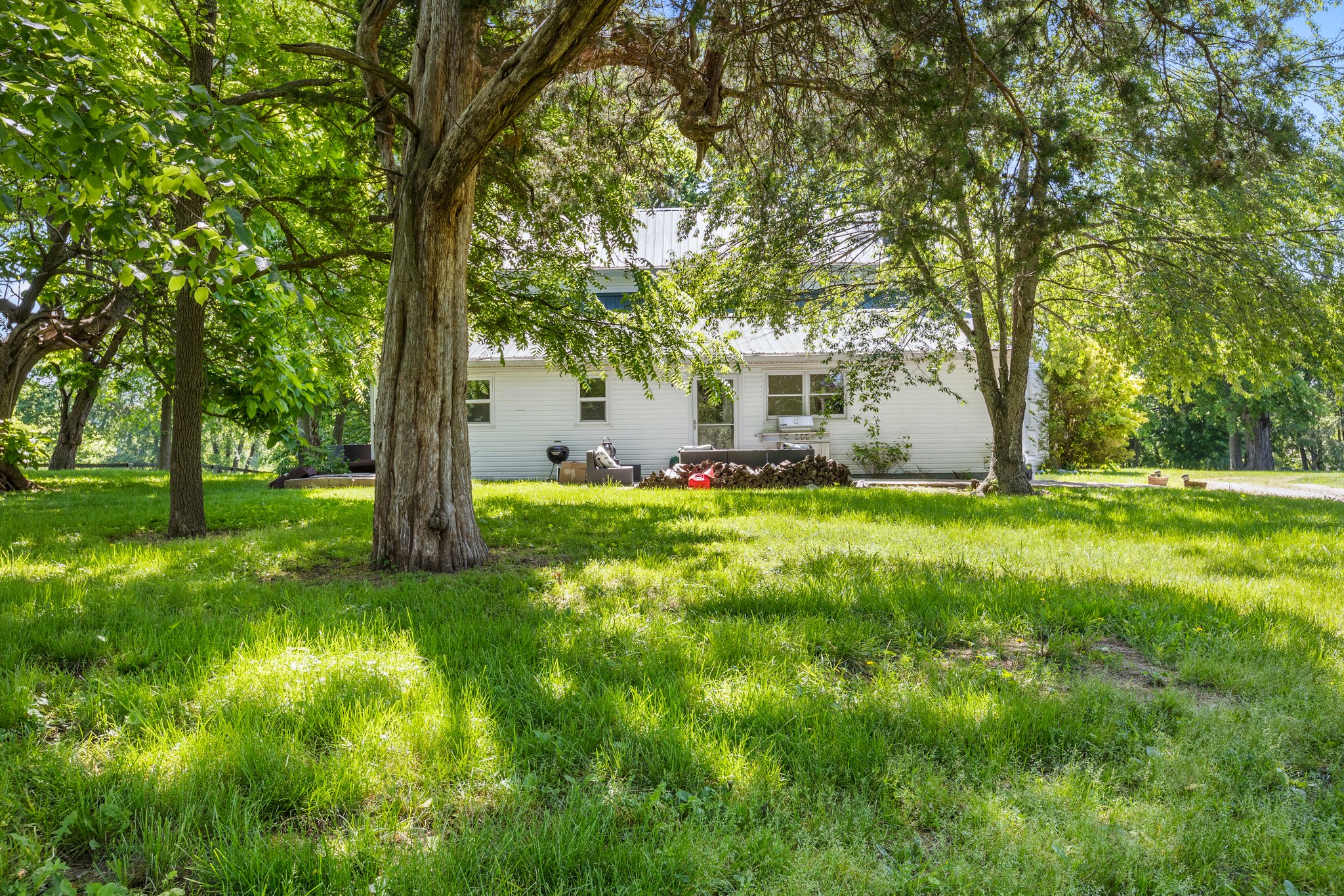 32-web-or-mls-IMG_6104