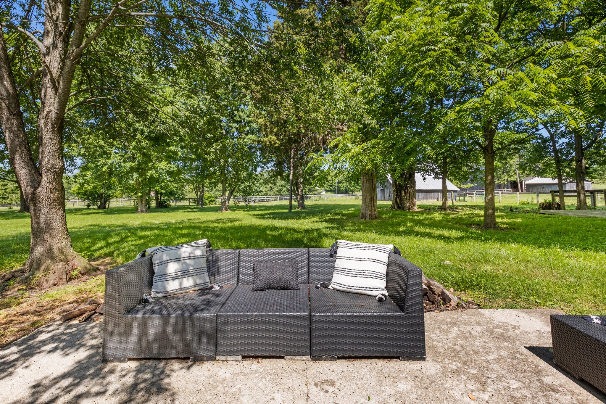 30-web-or-mls-IMG_6099