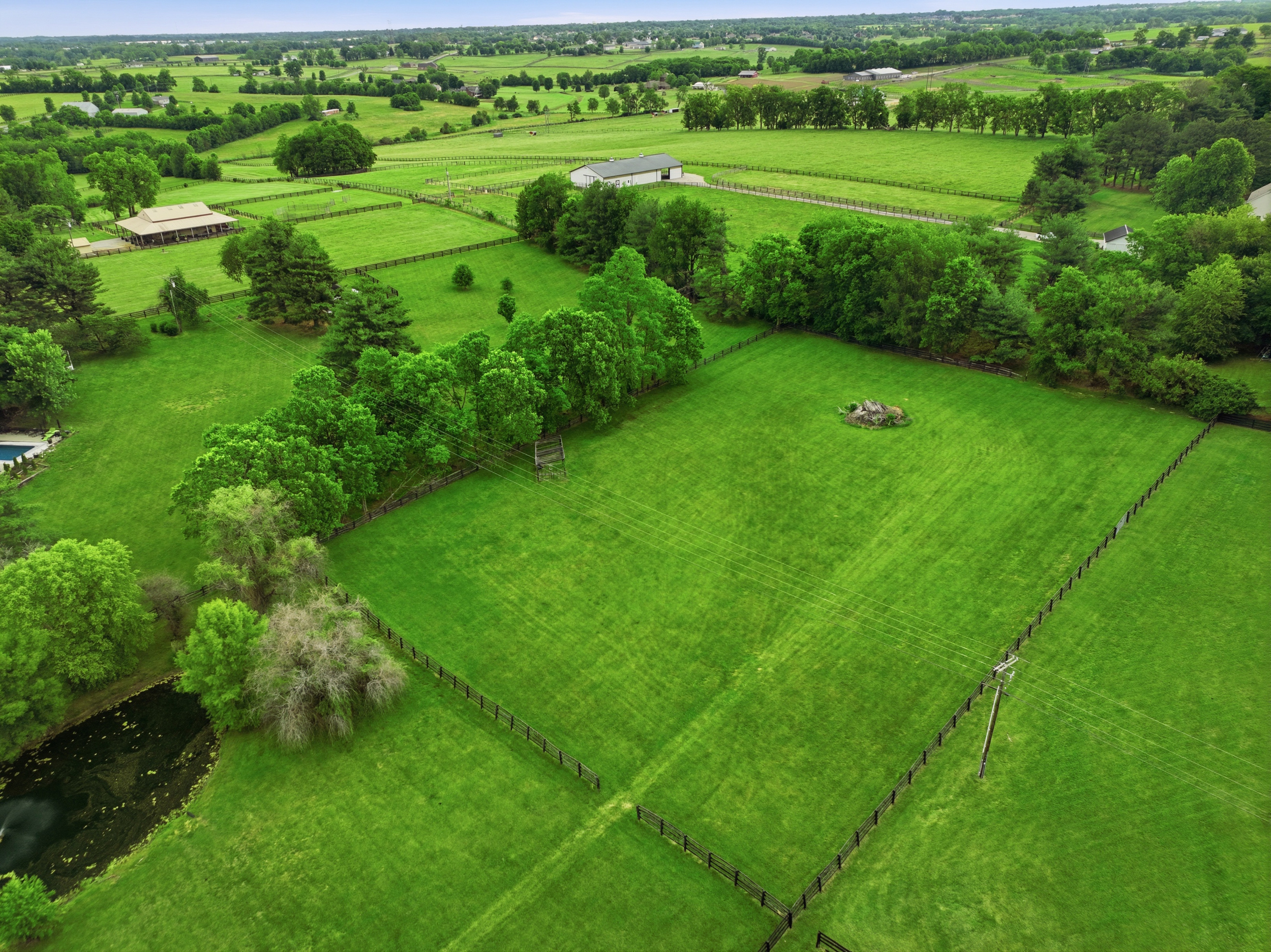 81_dji_0209