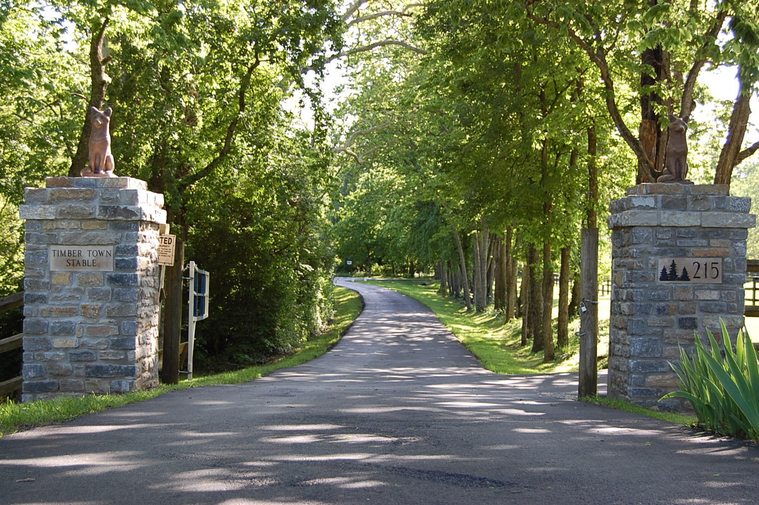 20250521175409703850000000-o