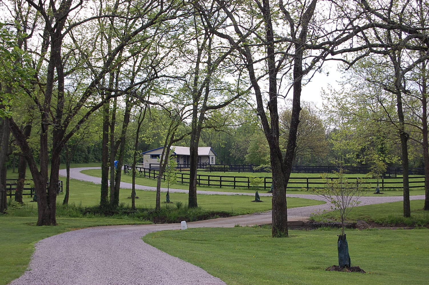 20250521175413076676000000-o