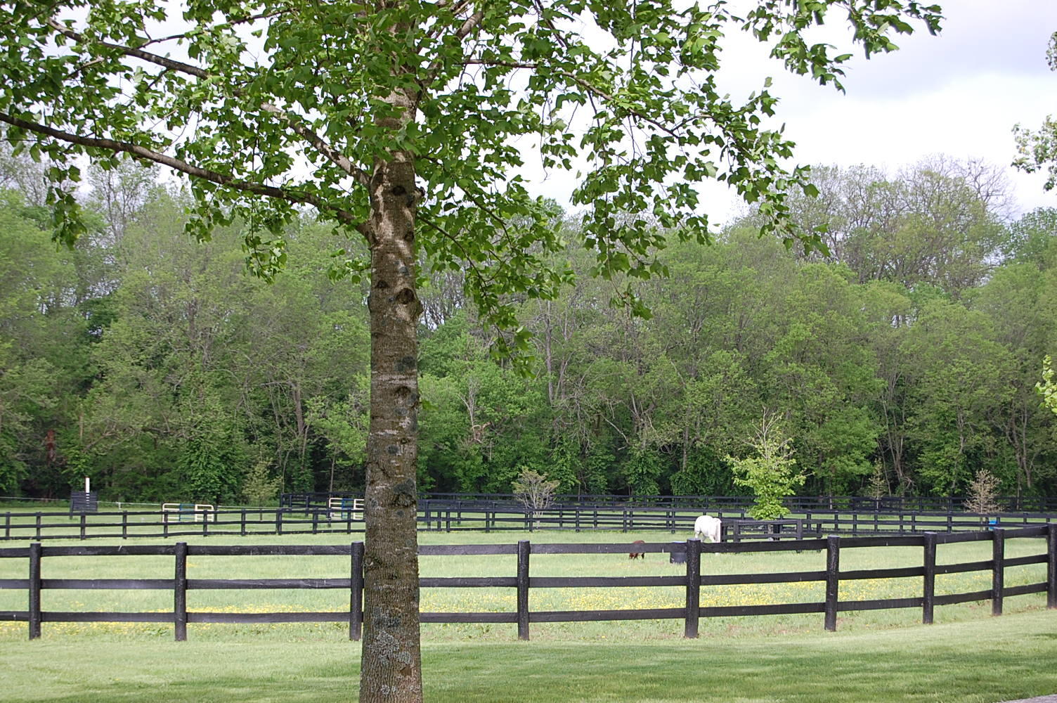 20250521175413169445000000-o