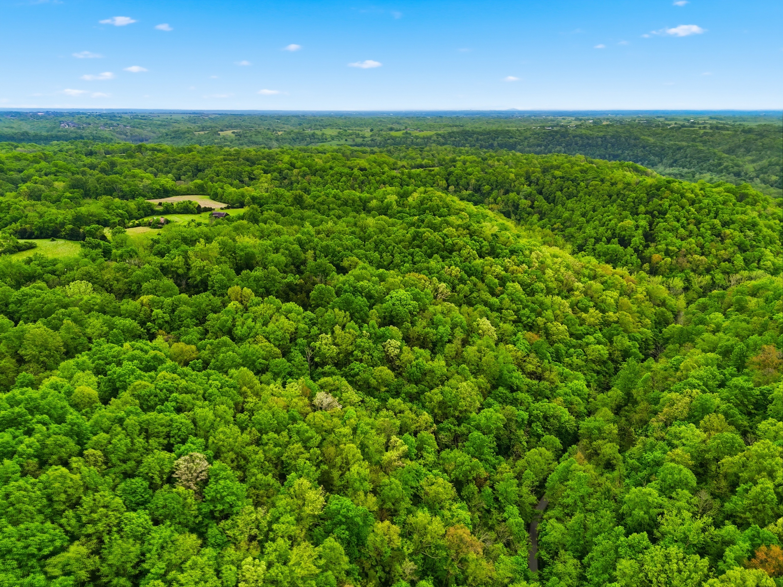 2_dji_fly_20260428_113744_0065_1777392249965_aeb