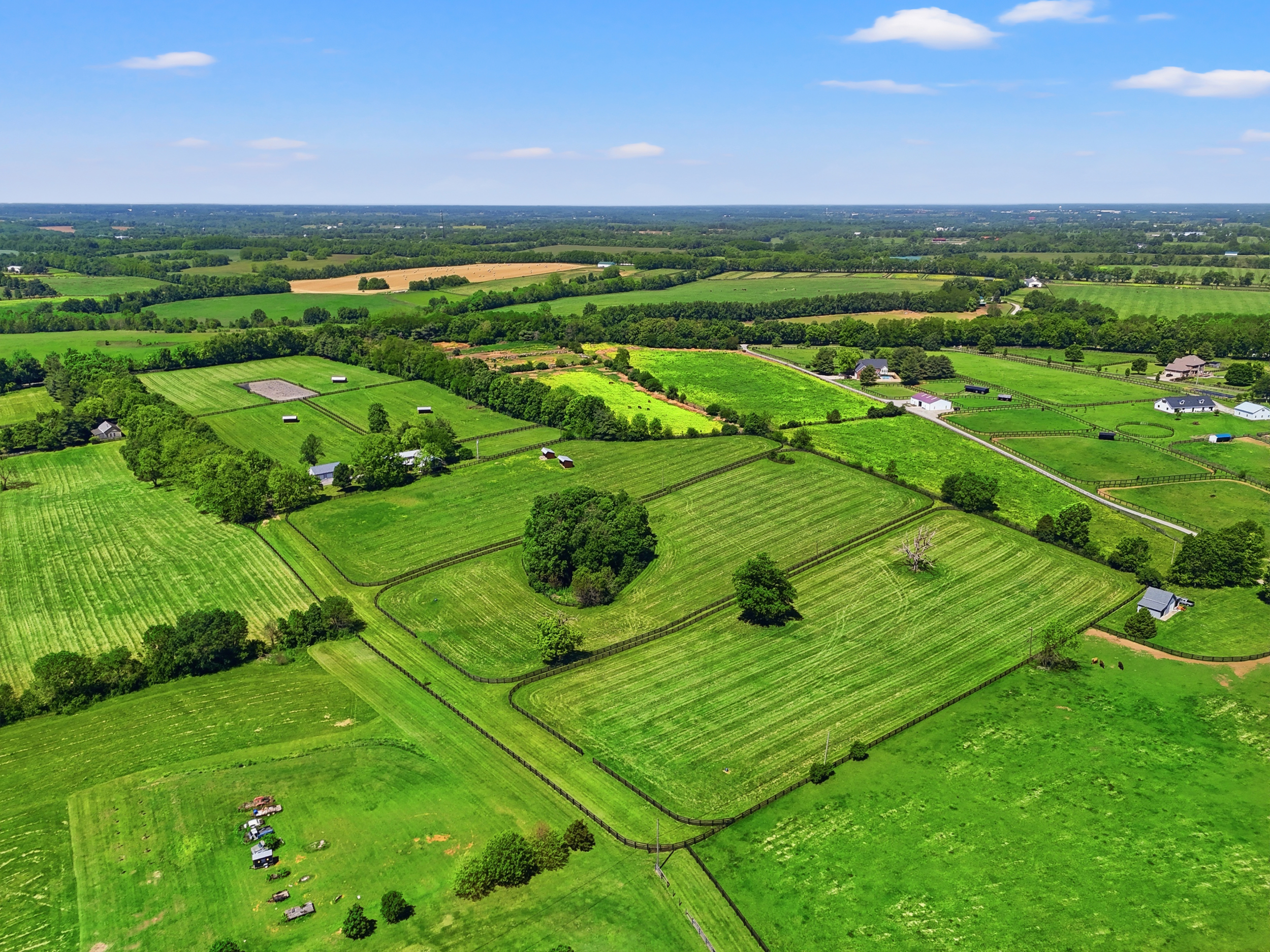 44_dji_fly_20260513_115440_0559_1778687898811_aeb
