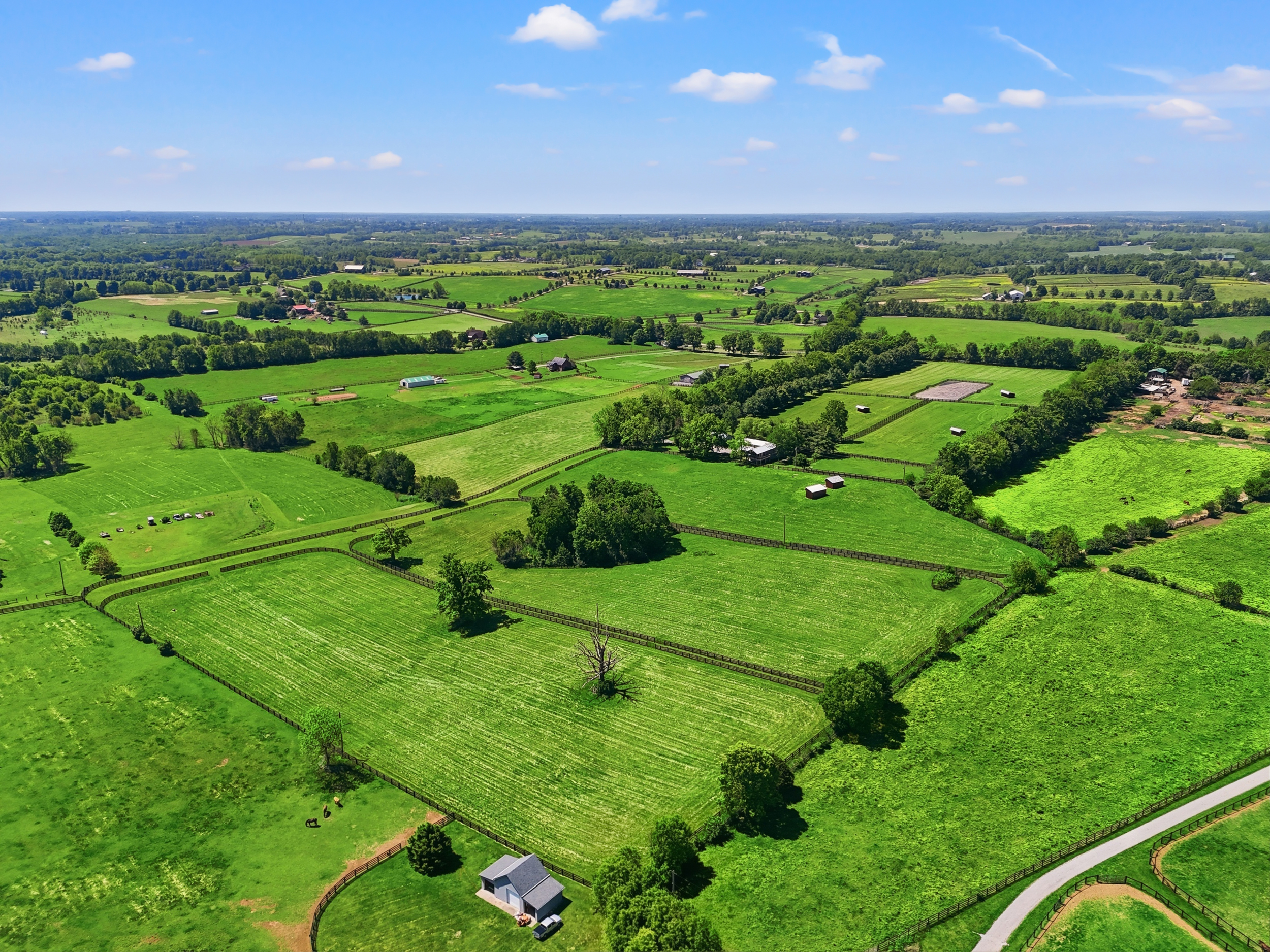 46_dji_fly_20260513_115534_0565_1778687892639_aeb
