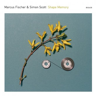 Album artwork for Shape Memory
