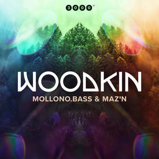 Album artwork for WOODKIN