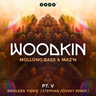 Album artwork for Endless Tides (Stephan Zovsky Remix)
