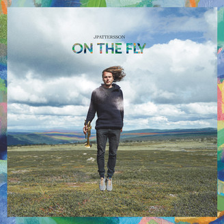 Album artwork for On The Fly