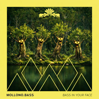 Album artwork for Bass In Your Face