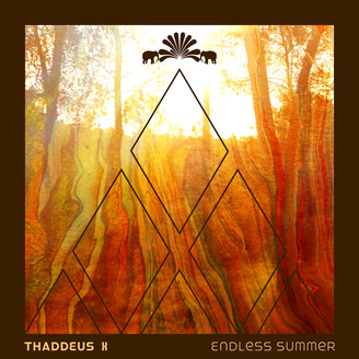 Album artwork for Endless Summer