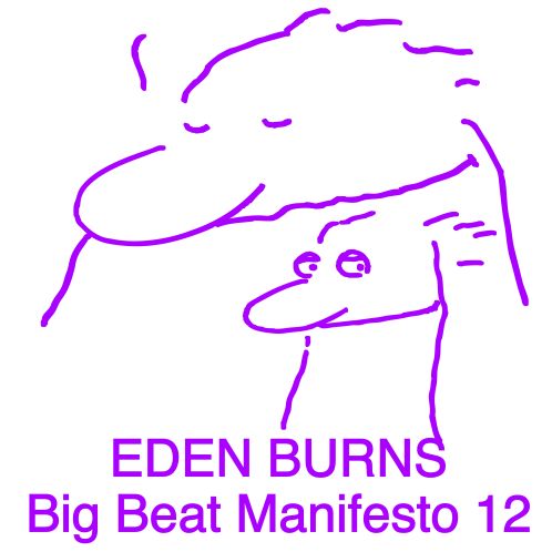 Album artwork for Big Beat Manifesto Vol. XII