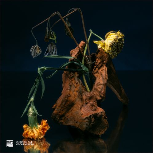 Album artwork for Curation One: Oscar Mulero