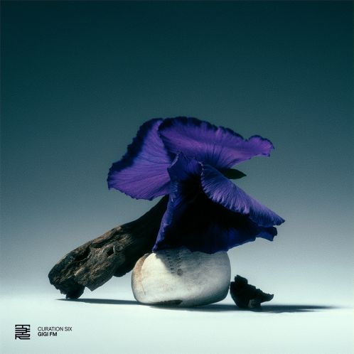 Album artwork for Curation Six: GiGi FM