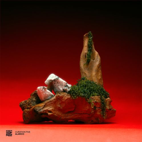 Album artwork for Curation Five: Alarico