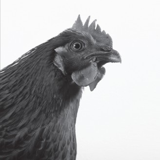 Album artwork for Krümmel E.P.