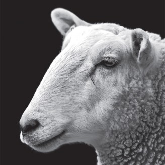 Album artwork for Speck EP