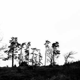 Album artwork for Plate