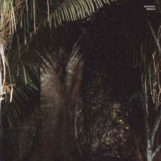 Album artwork for Urwald